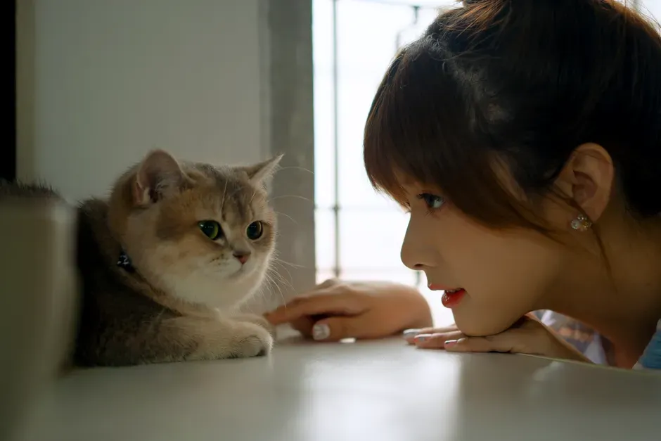 #1 - Talking to Your Cat Like It's a Tiny Human (Image Credits: Pexels)
