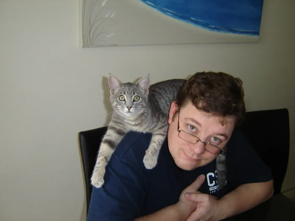 They Demand Attention While You're Busy (Image Credits: Flickr)