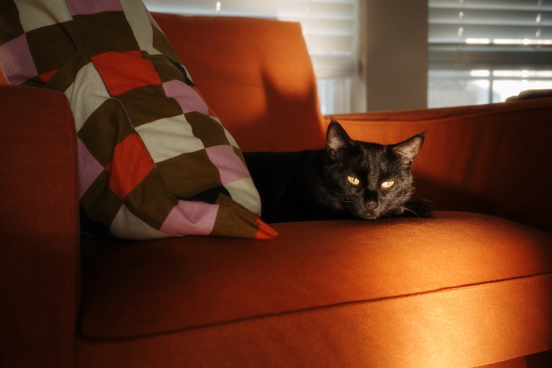 Closing All the Blinds and Shutters (Image Credits: Unsplash)