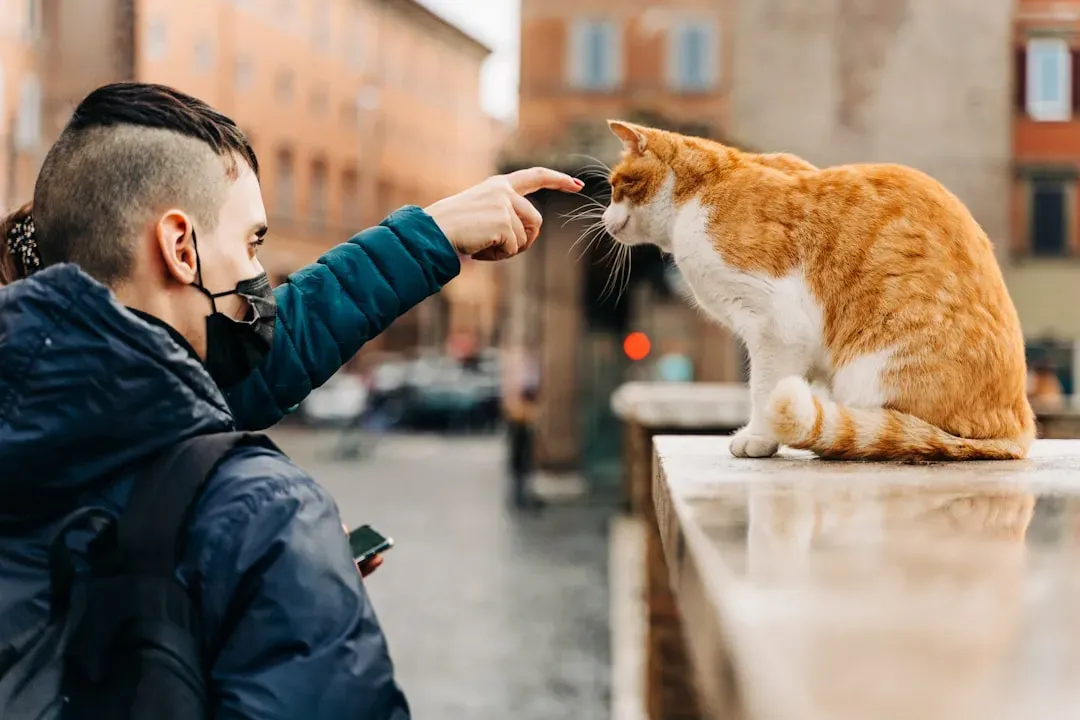 They Can Communicate With Humans in Sophisticated Ways (Image Credits: Unsplash)