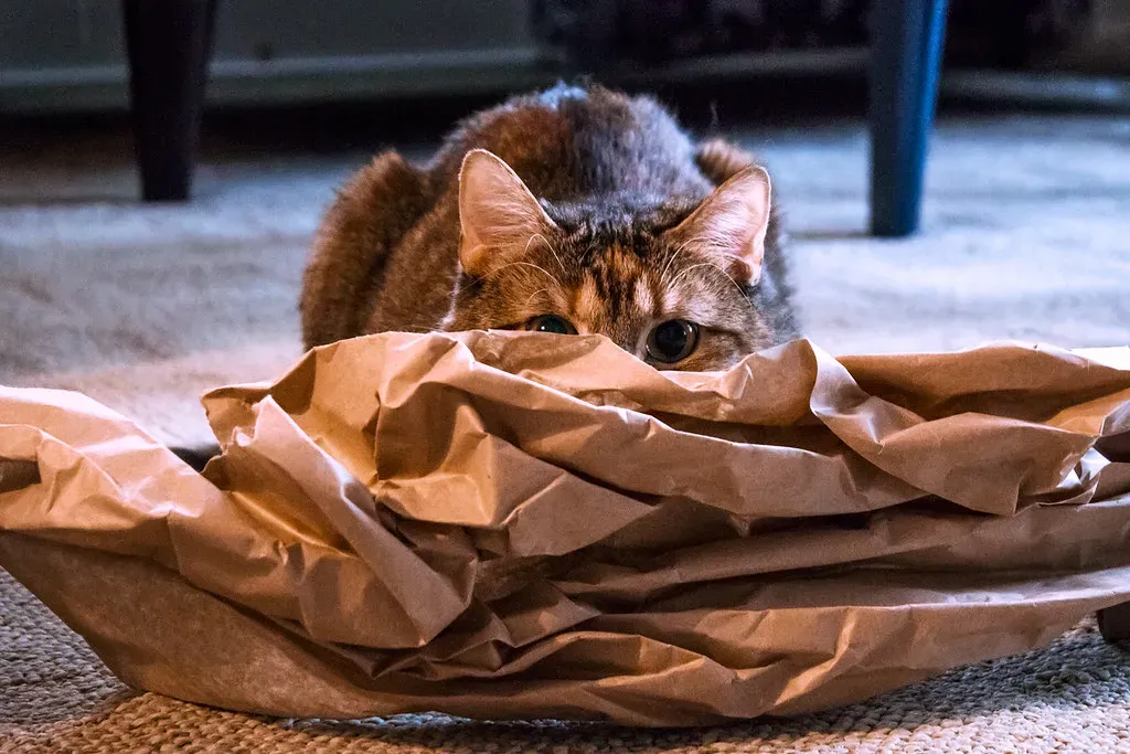 Crinkled Paper and Receipts (Image Credits: Flickr)