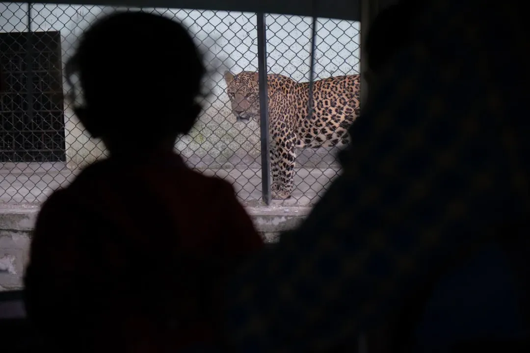 The Illegal Wildlife Trade Is Booming (Image Credits: Unsplash)