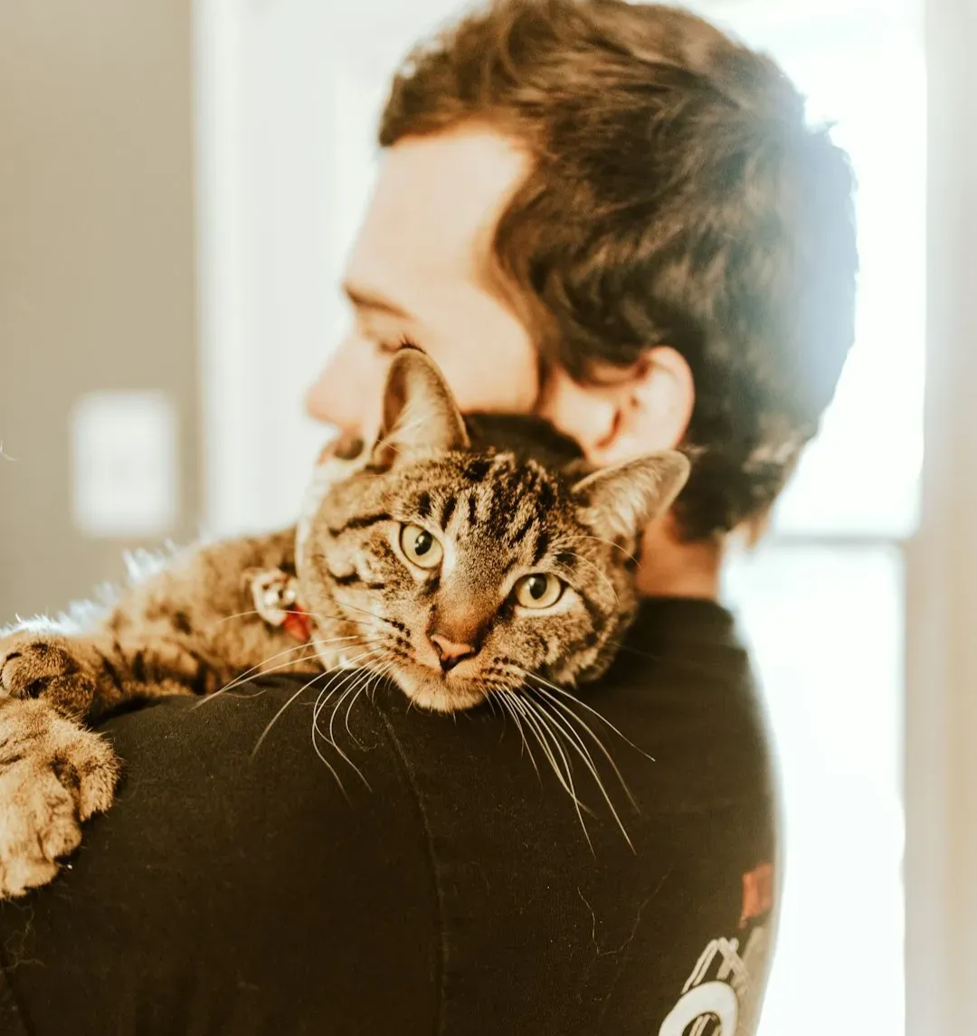 Attachment Styles: Your Cat Might Be More Like a Toddler Than You Realize (Image Credits: Unsplash)