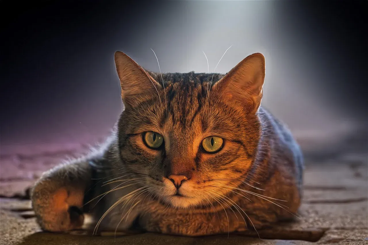 Night Lights for Navigation (Image Credits: Pixabay)