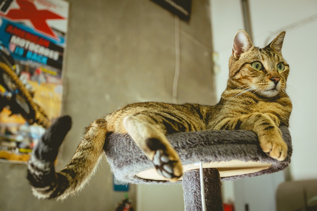 High Places: Their Ancient Security System (Image Credits: Unsplash)