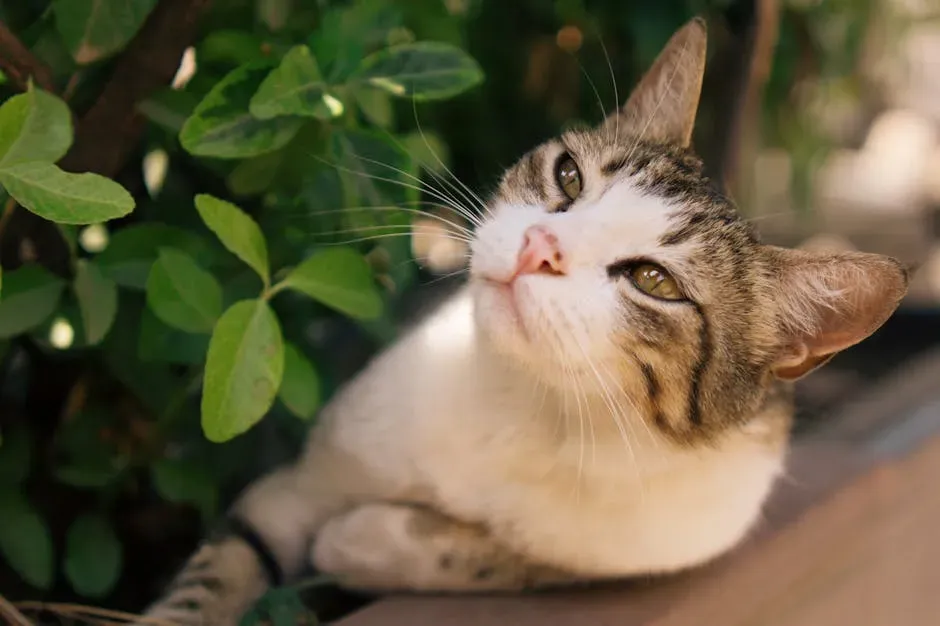 Conclusion (Image Credits: Pexels)