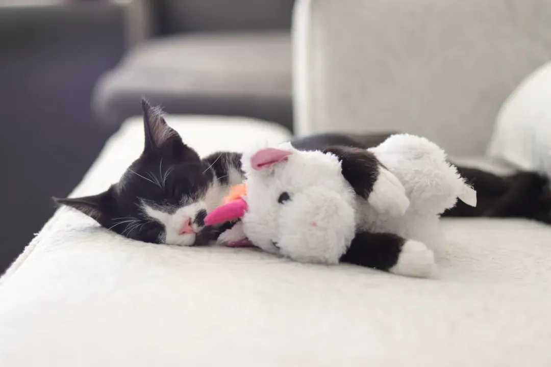 The Plush Toy Snuggler: Affectionate and Deeply Attached (Image Credits: Unsplash)