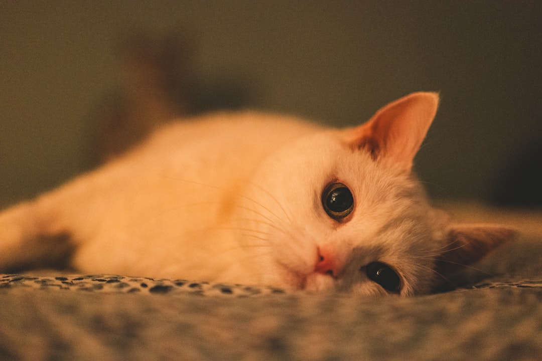 Harnessing the Power of Pheromones (Image Credits: Unsplash)