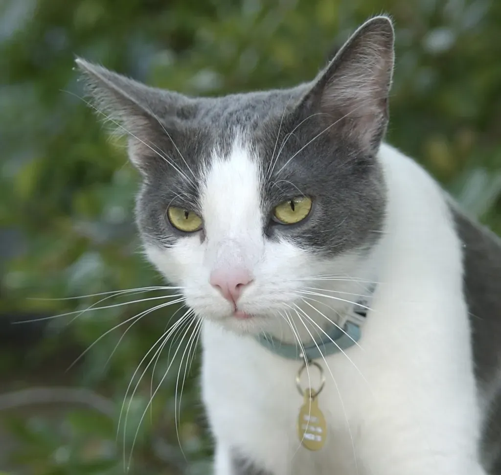 Facial Expressions Matter More Than You Think (Image Credits: Flickr)