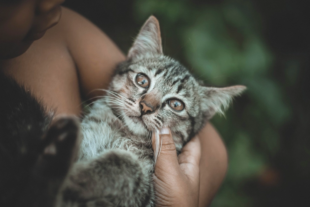Sleeping Near You: The Ultimate Trust (Image Credits: Rawpixel)