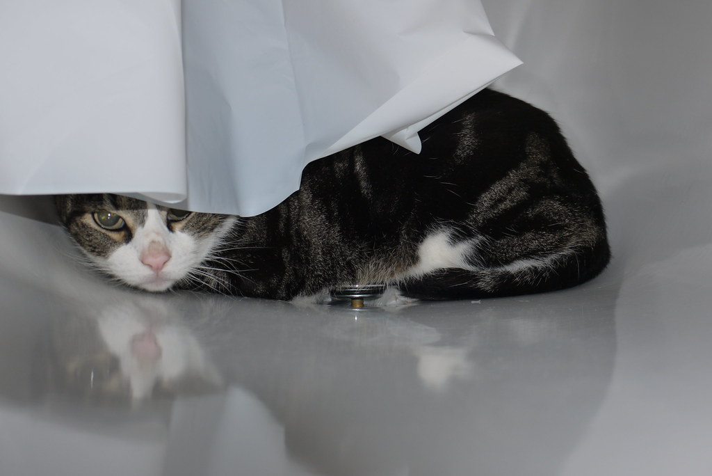 Conclusion (Image Credits: Flickr)