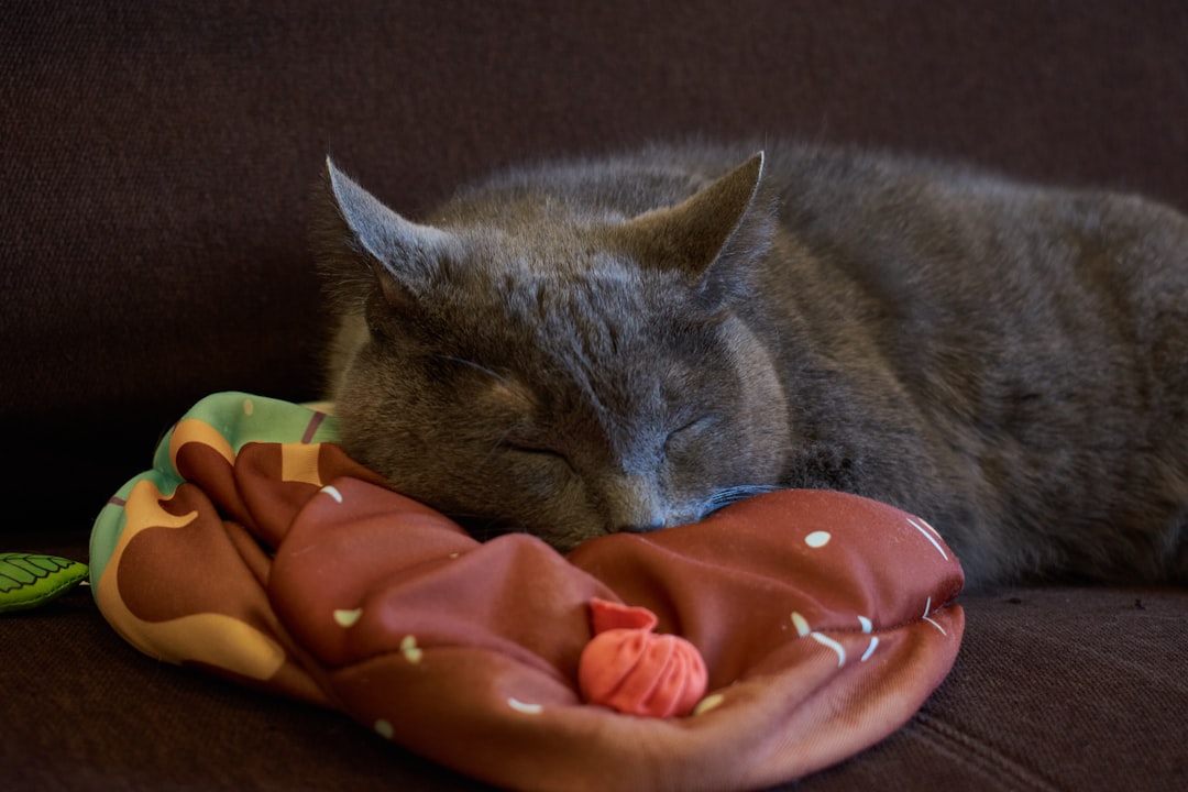 Sleeping on Your Belongings (Image Credits: Unsplash)