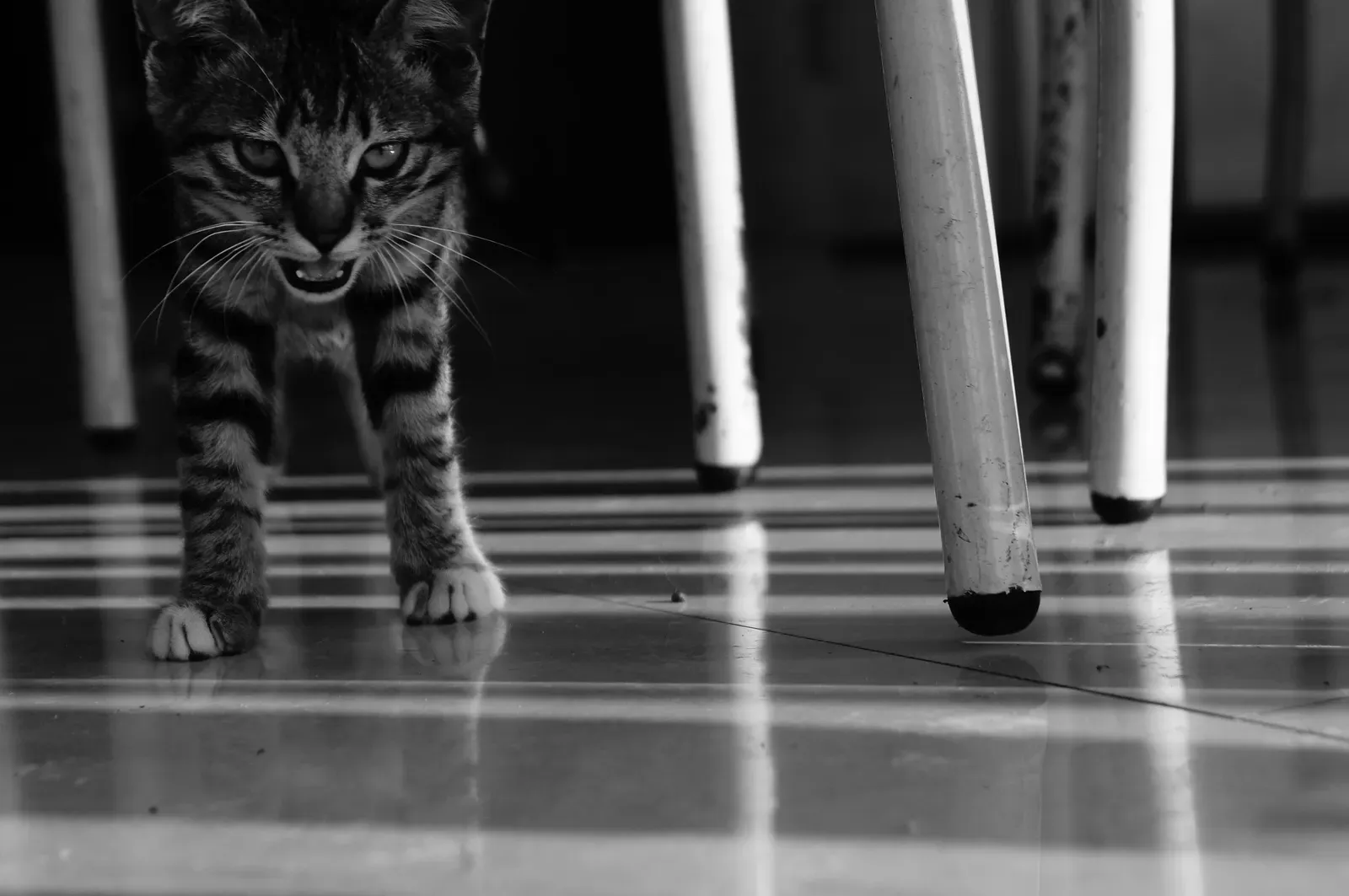 Boredom: The Overlooked Midnight Trigger (Image Credits: Wikimedia)