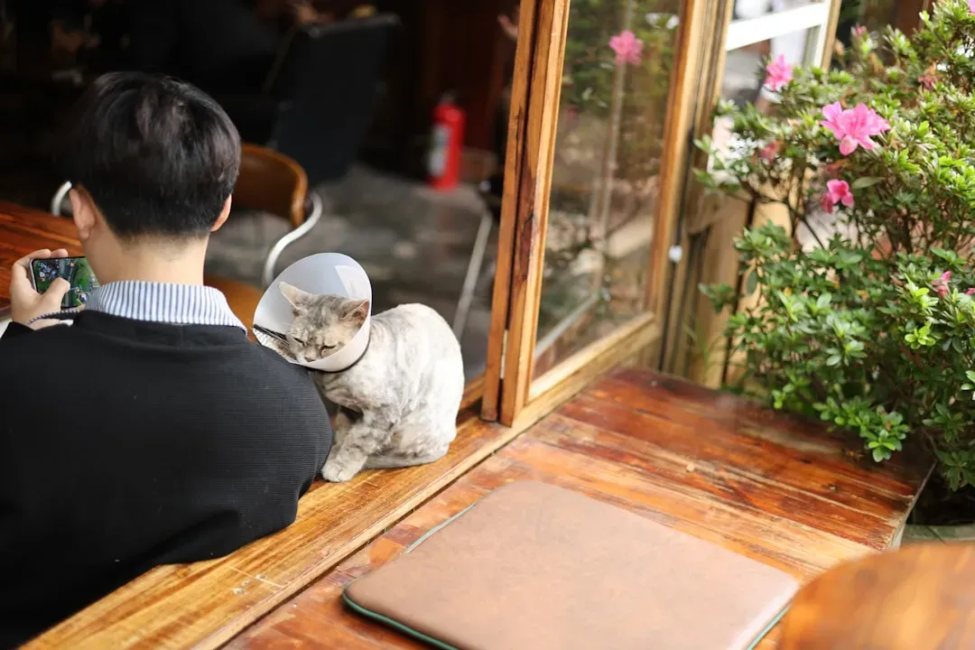 Why Early Neutering Is Gaining Traction (Image Credits: Unsplash)