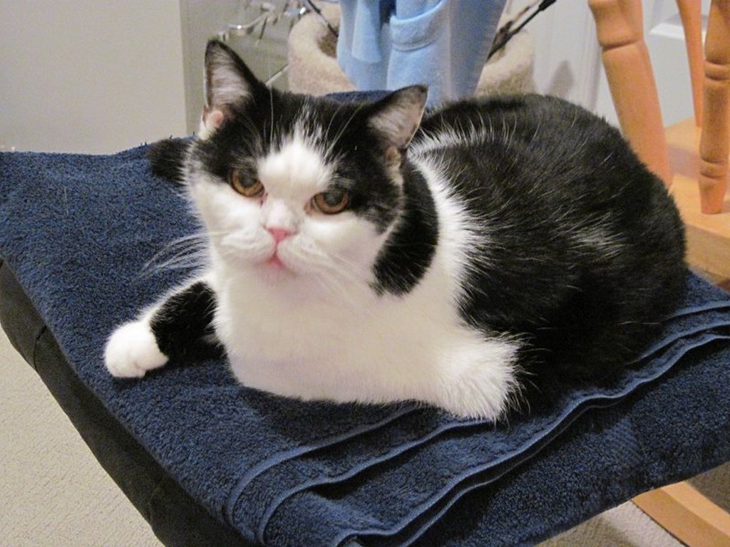 The Myth About Weight Gain Needs to Stop (Image Credits: Flickr)