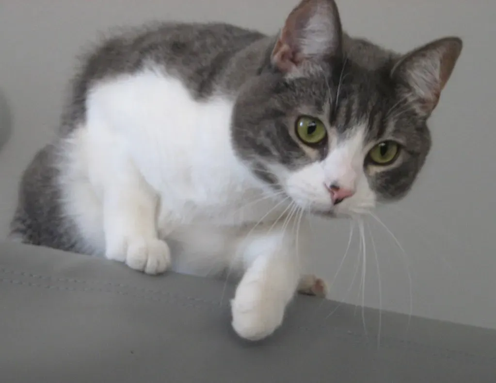 The Hunter Within Awakens (Image Credits: Flickr)