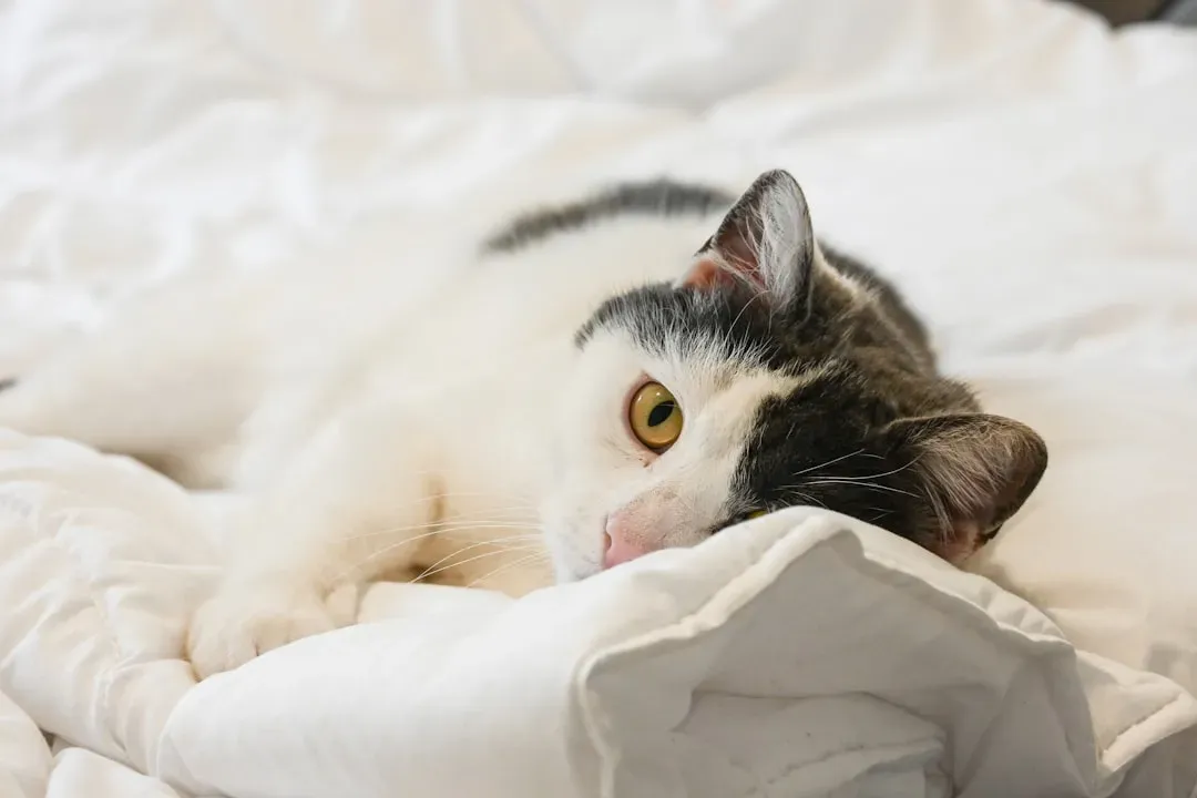 2. Start With Scent Swapping Before Anything Else (Image Credits: Unsplash)