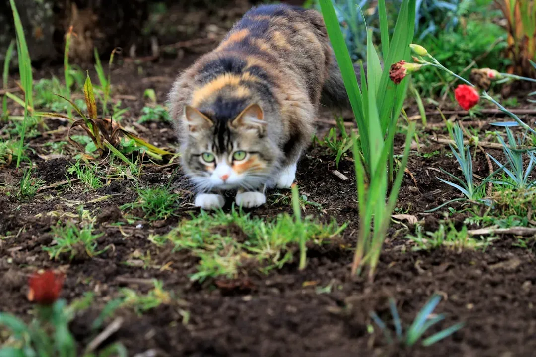 Why They Bury Their Business So Carefully (Image Credits: Unsplash)