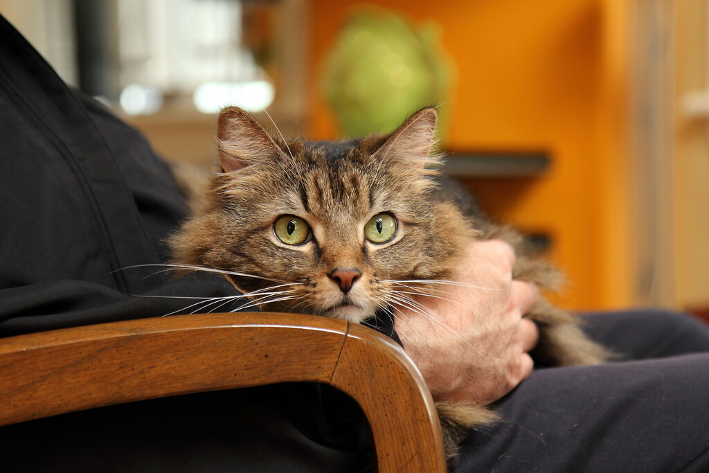 The Art of Non-Clingy Affection (Image Credits: Flickr)