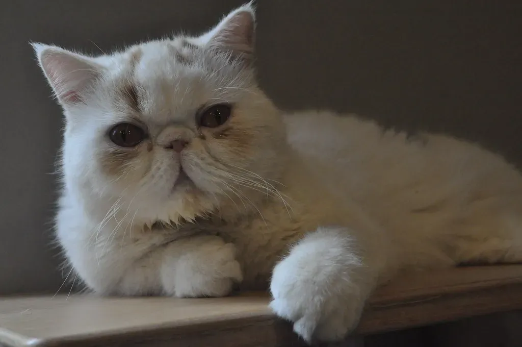 The Truth Behind the Trends (Image Credits: Flickr)