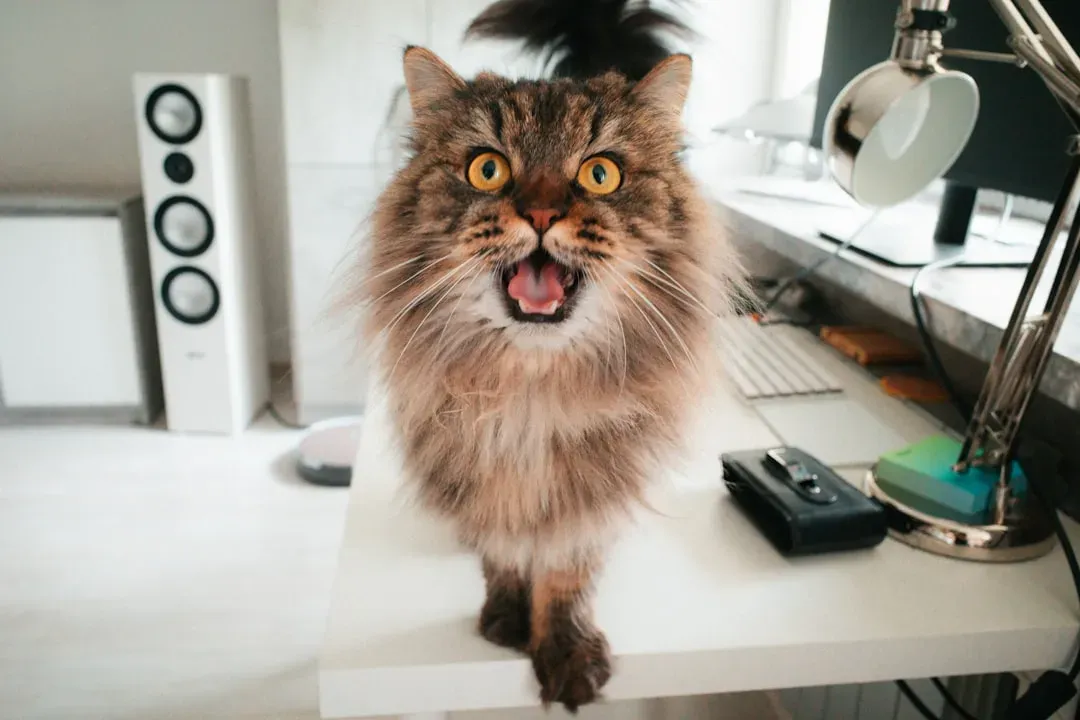 5. Loud Music and Booming Bass: Not Exactly Their Playlist (Image Credits: Unsplash)