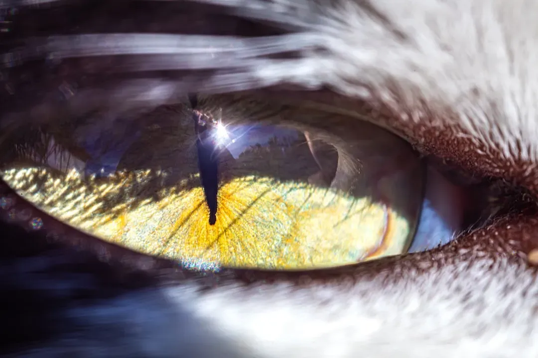 Those Vertical Pupils Are Doing More Than Looking Cool (Image Credits: Unsplash)