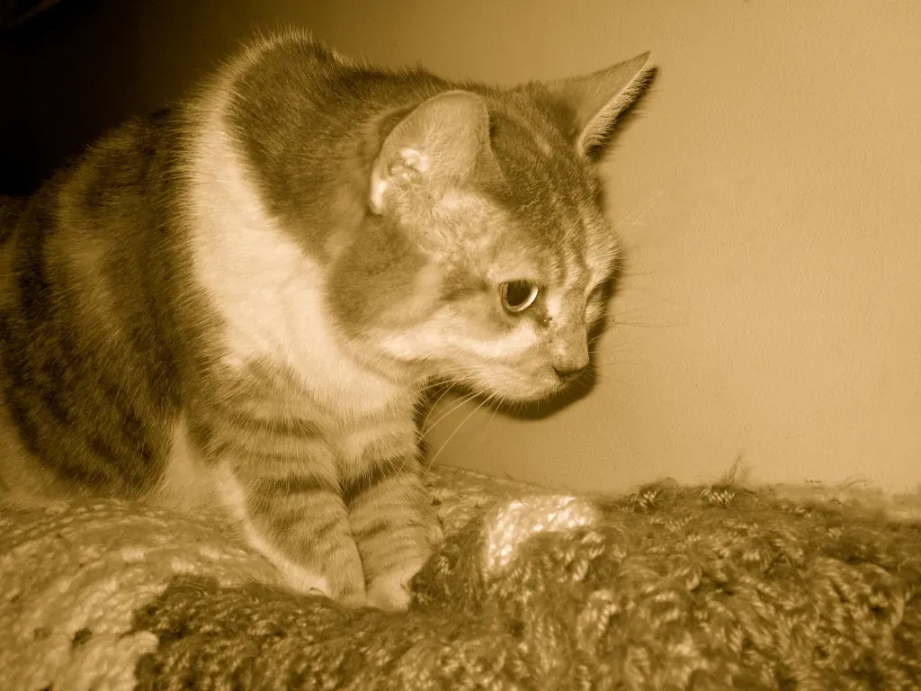 Managing the Sharp Reality of (Image Credits: Flickr)