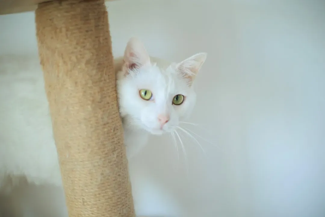 8. Letting Them Go Outdoors Unsupervised (Image Credits: Unsplash)