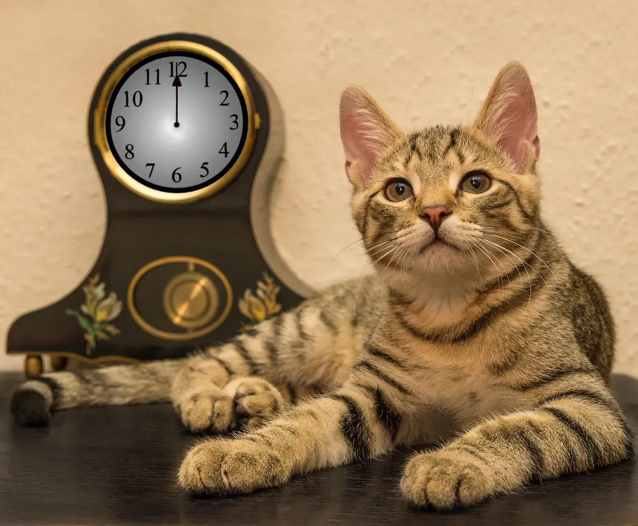 Their Built-In Internal Clock Is No Joke (Image Credits: Pixabay)