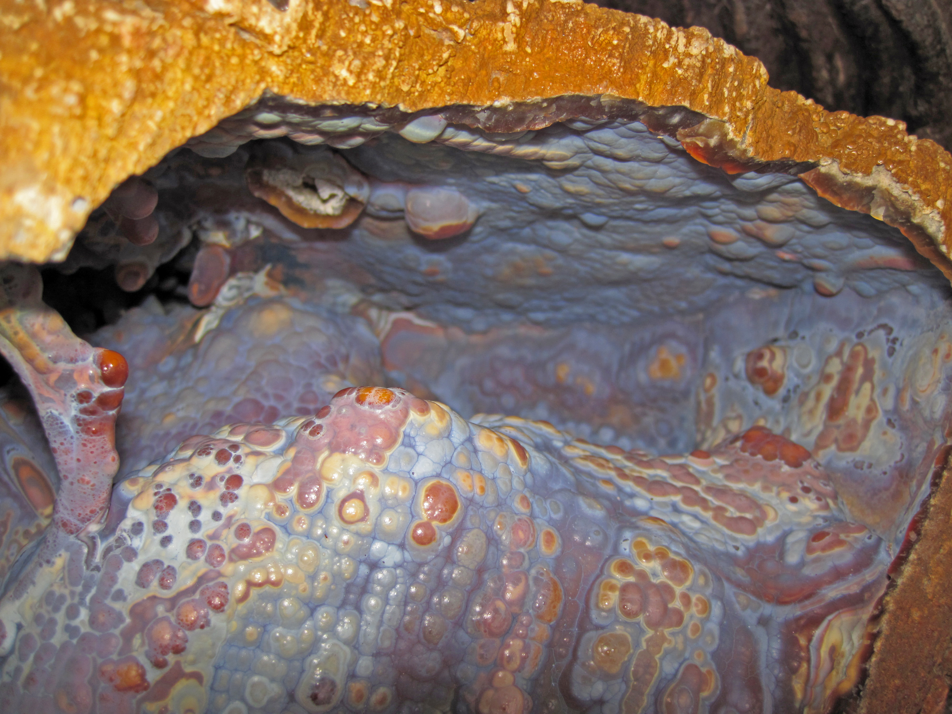 El Niño Patterns Across Millennia (Image Credits: Wikimedia)