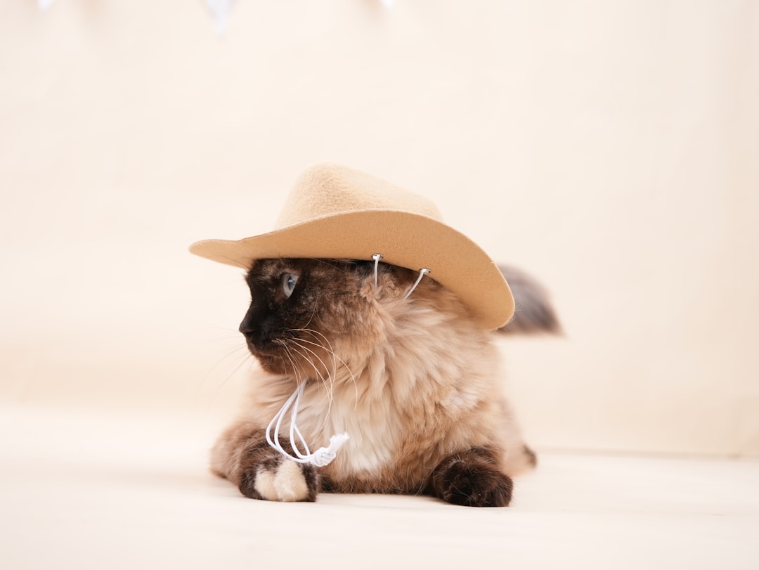 8. Certain Clothing Items - Fashion Fears (Image Credits: Unsplash)