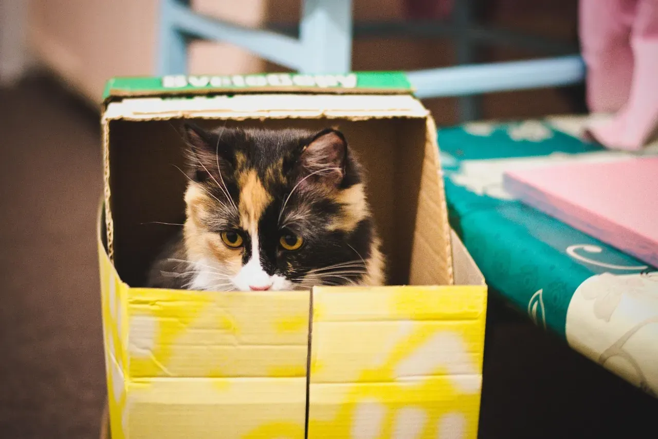 The Undeniable Control Factor Boxes Provide (Image Credits: Pixabay)