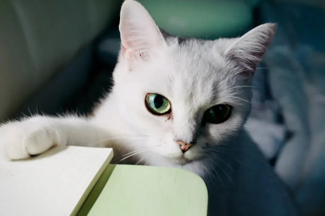 They're Reading Your Face More Than You Think (Image Credits: Unsplash)