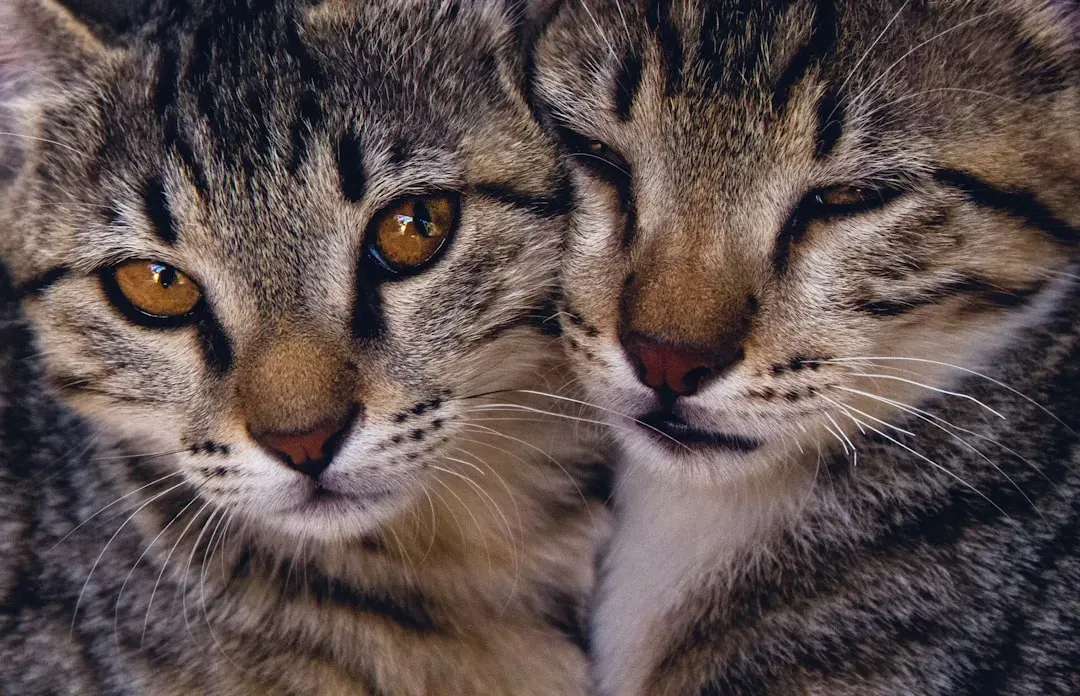 It Runs in the Family: The Role of Genetics and Heredity (Image Credits: Unsplash)