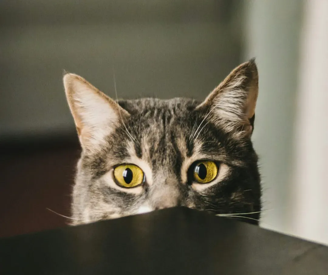 #2 - "I Need Something From You, Right Now" (Image Credits: Unsplash)