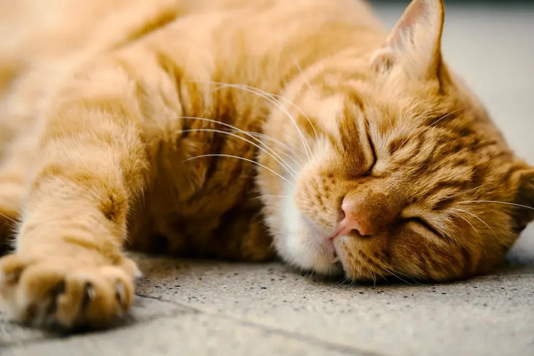 Boredom and Sleep Are Uncomfortably Connected (Image Credits: Unsplash)