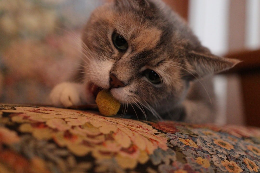 Puzzle Feeders That Combine Food with Mental Challenge (Image Credits: Unsplash)