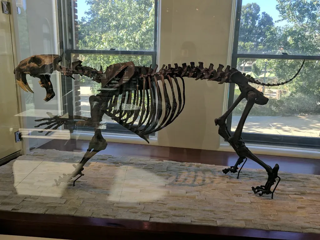 When Worlds Collided: Competition in the Pleistocene (Image Credits: Flickr)