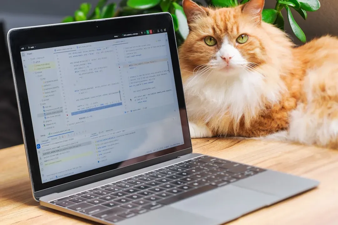 Practical Tips to Keep Your Cat Happy Without Wrecking Your Deadlines (Image Credits: Unsplash)
