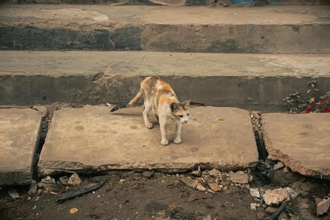 4. Seismic Activity Before You Feel a Thing (Image Credits: Unsplash)