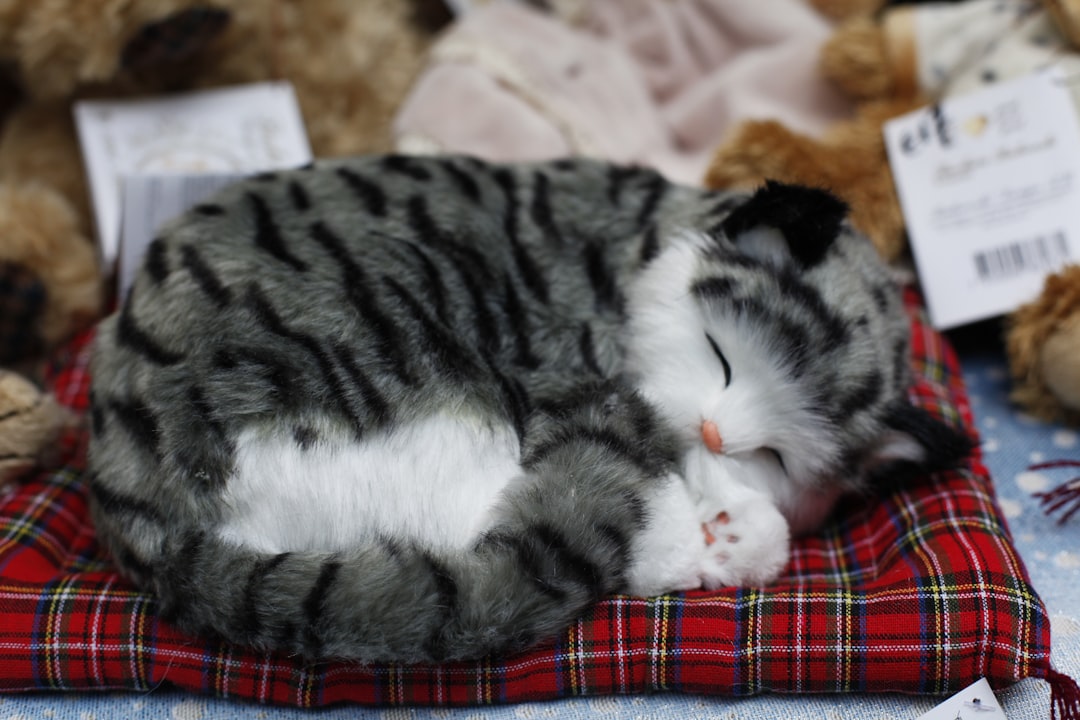 They Sleep in Vulnerable Positions Around You (Image Credits: Unsplash)