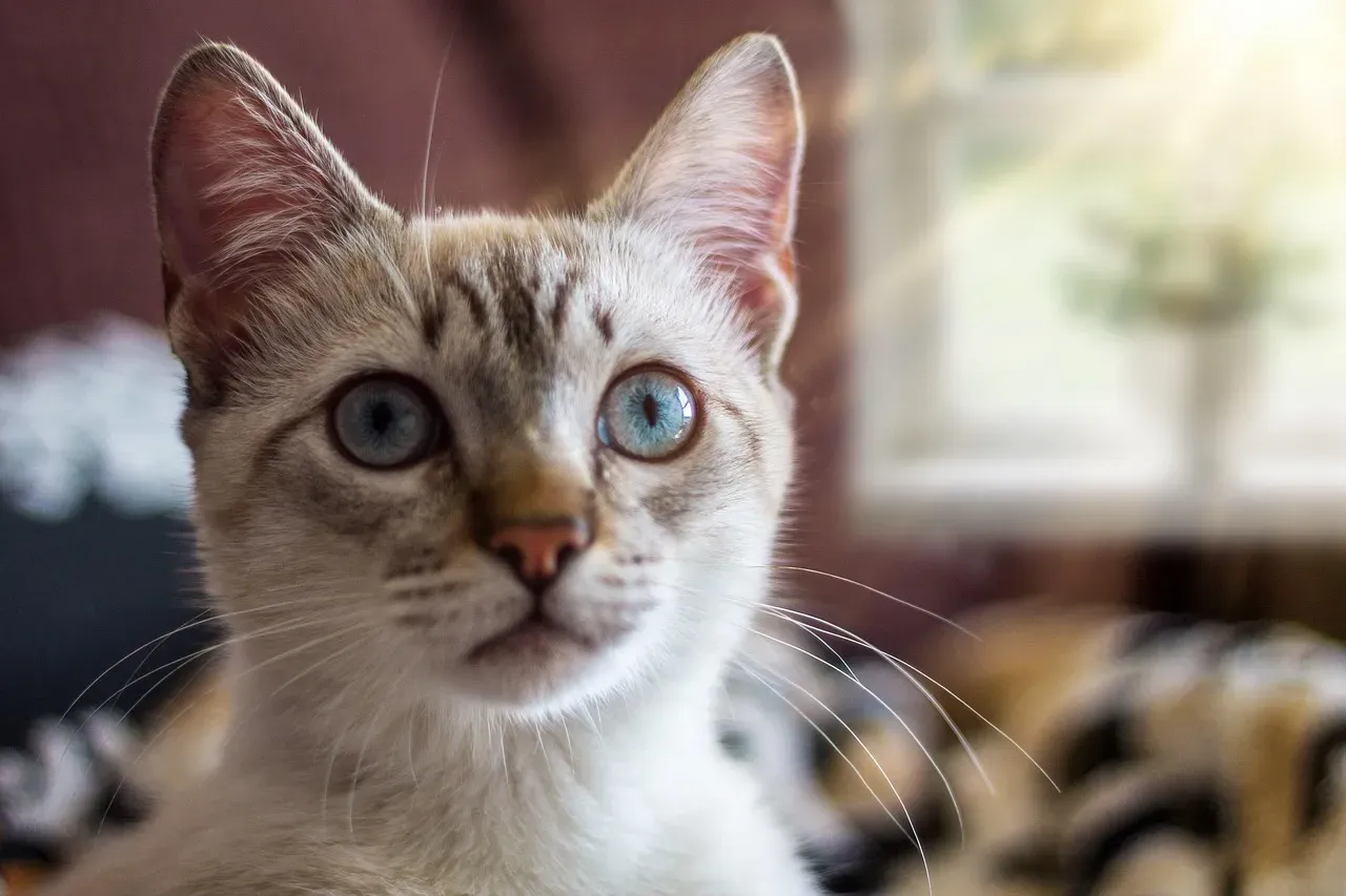 Conclusion (Image Credits: Pixabay)