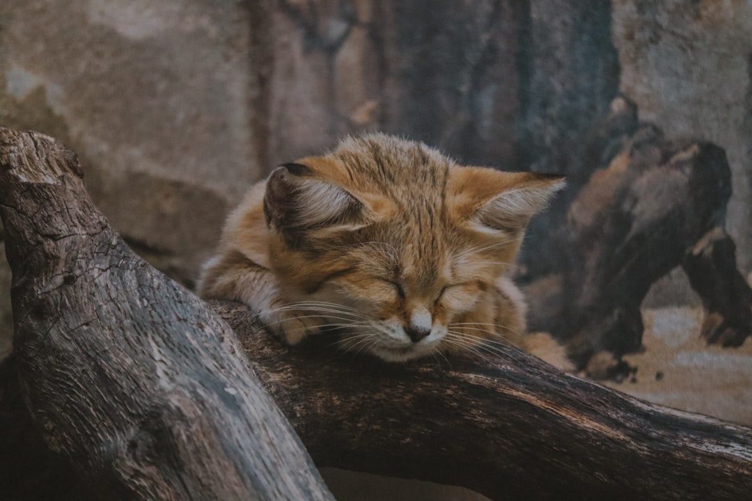 What That Twitching Really Means (Image Credits: Unsplash)