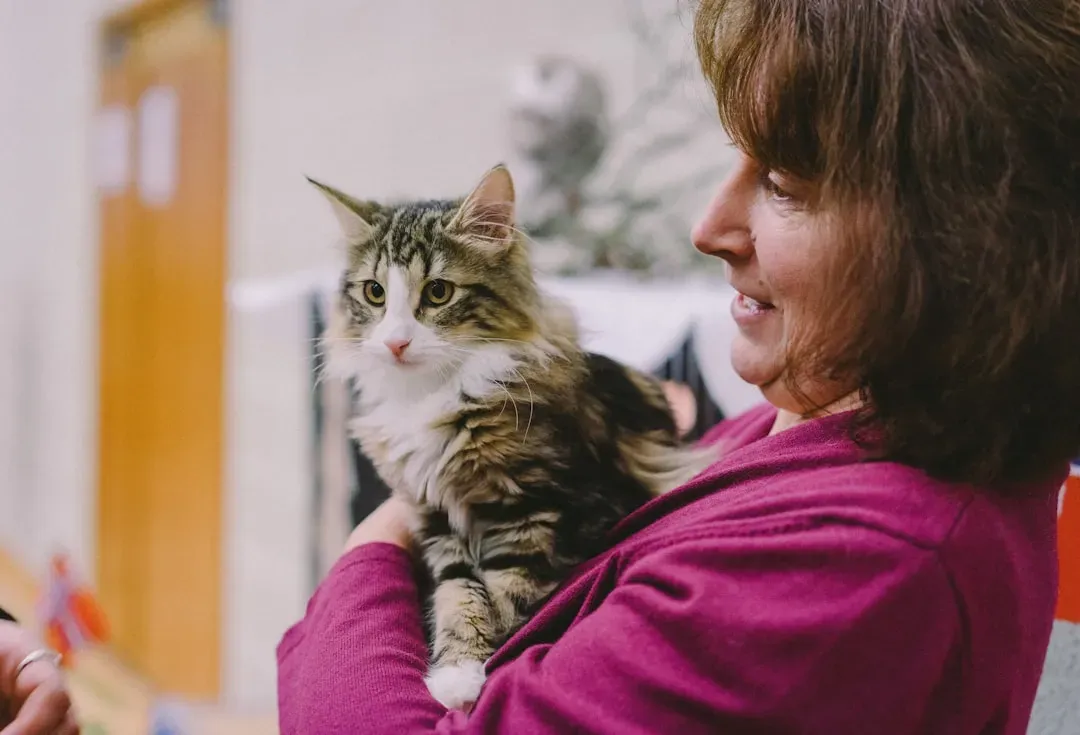 #7 - Cats Form Attachment Bonds Like Human Infants - This Is Not a Metaphor (Image Credits: Unsplash)