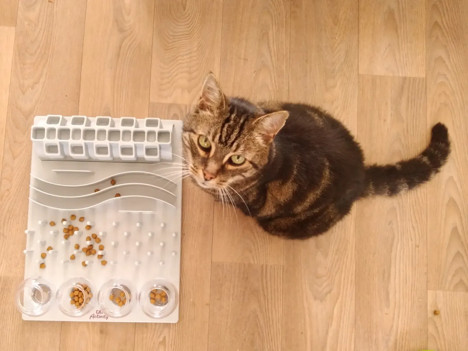 8. The Challenge of Working for Food (By Anja, CC BY-SA 4.0)