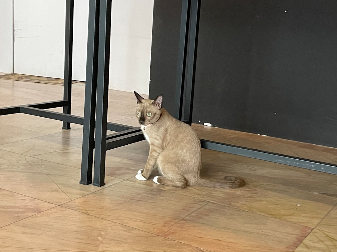 Urine Spraying and Marking (Image Credits: Unsplash)