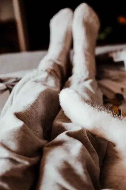 The Tail Wrap Around You: A Love Language in Disguise (Image Credits: Pexels)