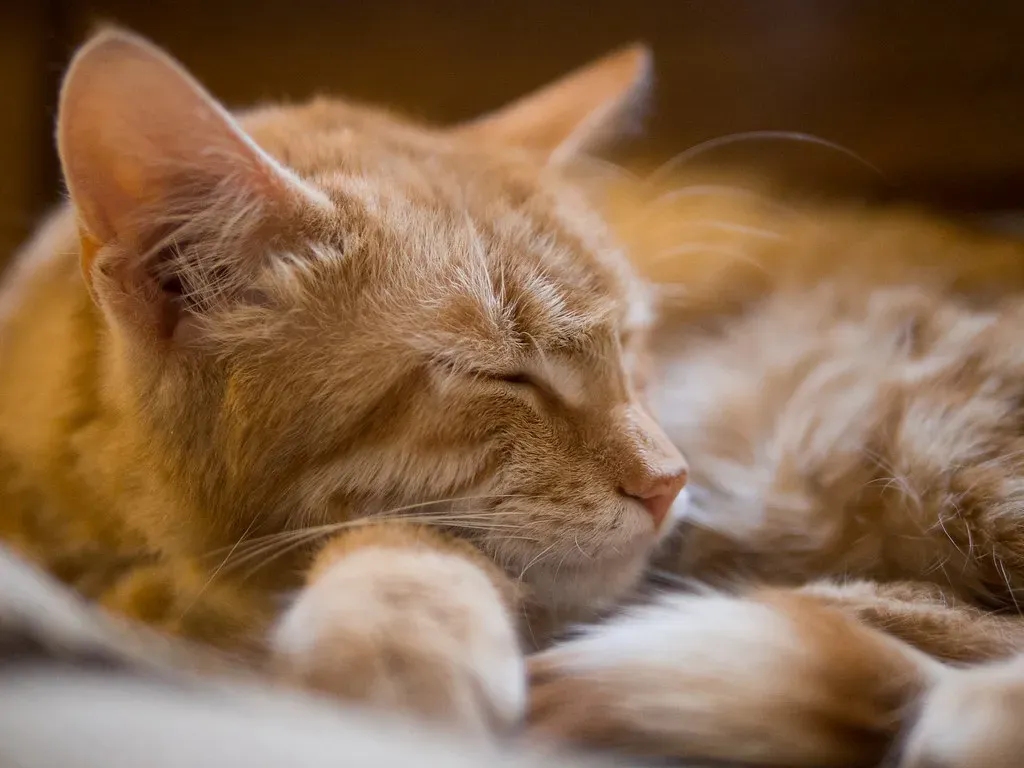 Conclusion (Image Credits: Flickr)