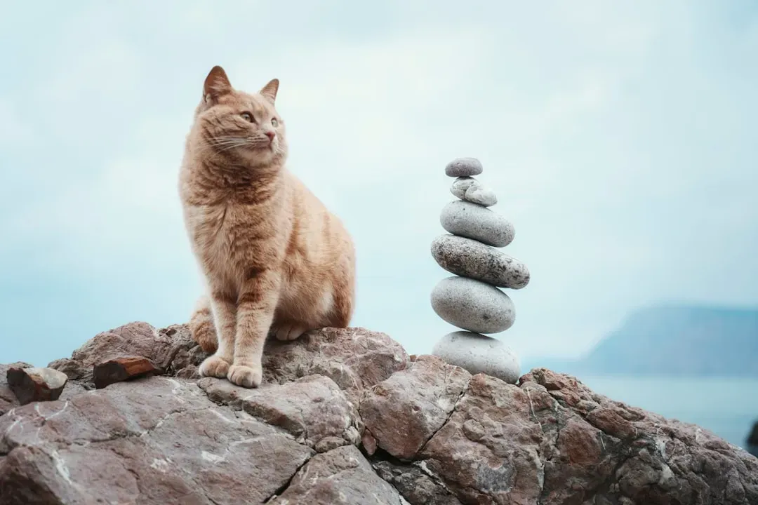 The Evolutionary Roots of Feline Awareness (Image Credits: Unsplash)