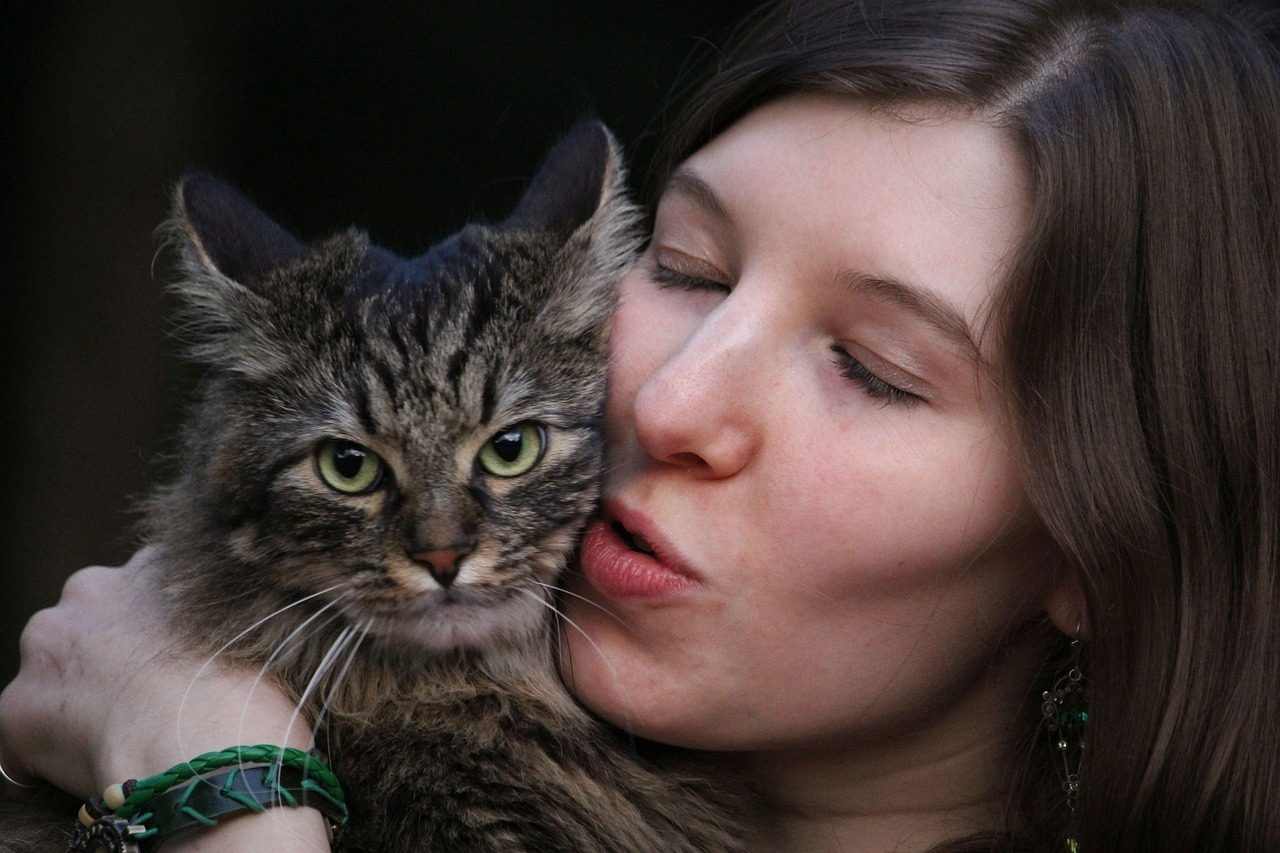 Conclusion: Understanding Your Cat's Love Language (Image Credits: Pixabay)
